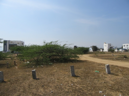 6) Li Id : 191 - Pic 7.JPG